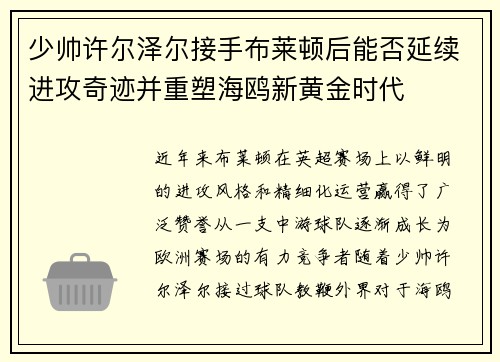 少帅许尔泽尔接手布莱顿后能否延续进攻奇迹并重塑海鸥新黄金时代